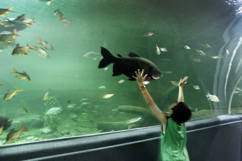 Talente nachhaltig über den Talentpool an das Unternehmen binden