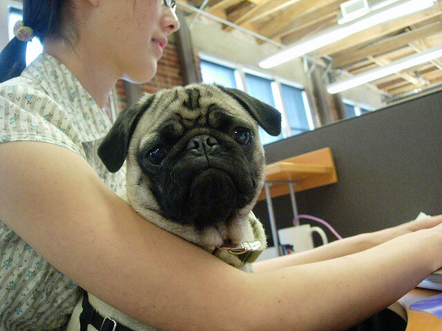 5 Incredible Staff Perks That Save You Money