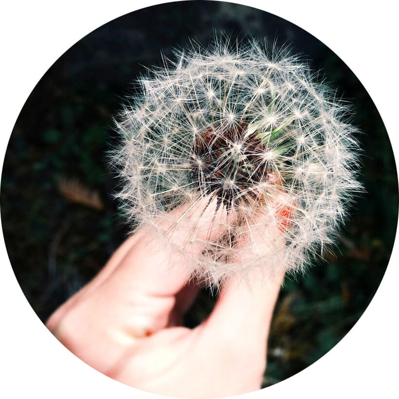 Multiposting: Ein Blick hinter die Kulissen der Anzeigenveröffentlichung